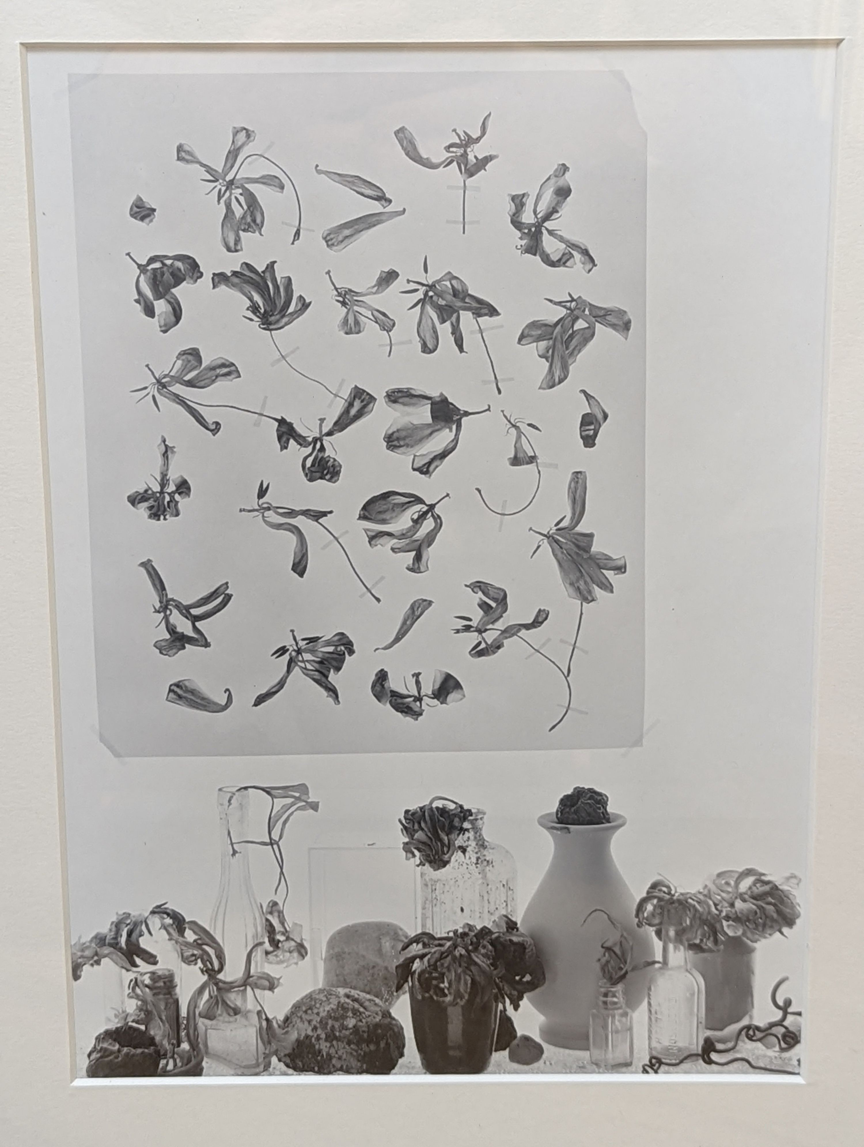 John Blakemore (1936-), six gelatin silver prints, Wind Series 3, 32 x 40cm, Wind Series 2, 32 x 40cm, Amber Gate, Derbyshire, 1981, 31 x 40cm and signed, Wind Series 1, 32 x 40cm, Studio still life, 30 x 22cm and Black